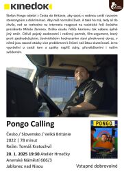 Pongo calling.png